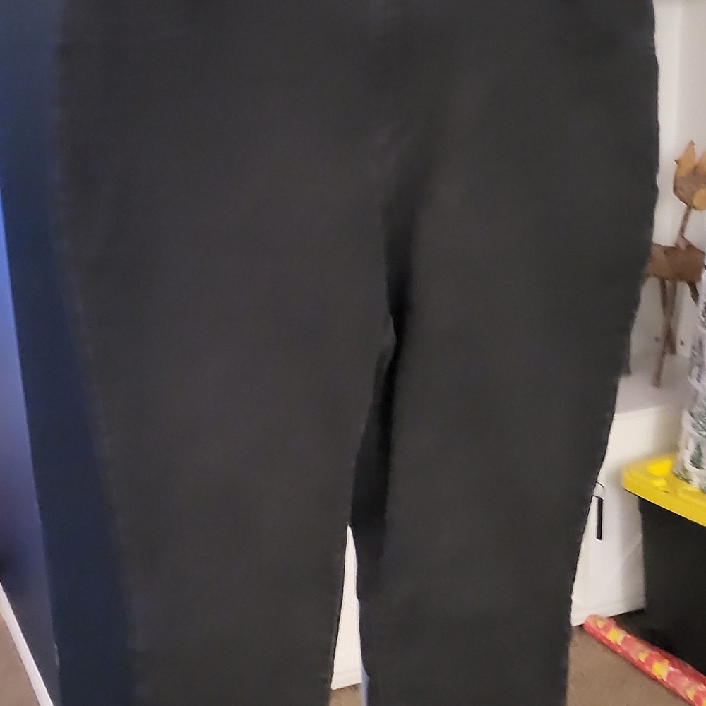 Terra & Sky Women's Dark Jeans